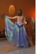 Professional bellydance costume (classic 423 a-available)